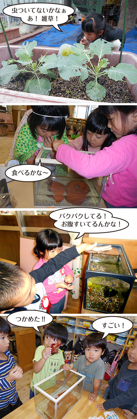 新生保育園 ホーム ニュース 19年度 Vol 12